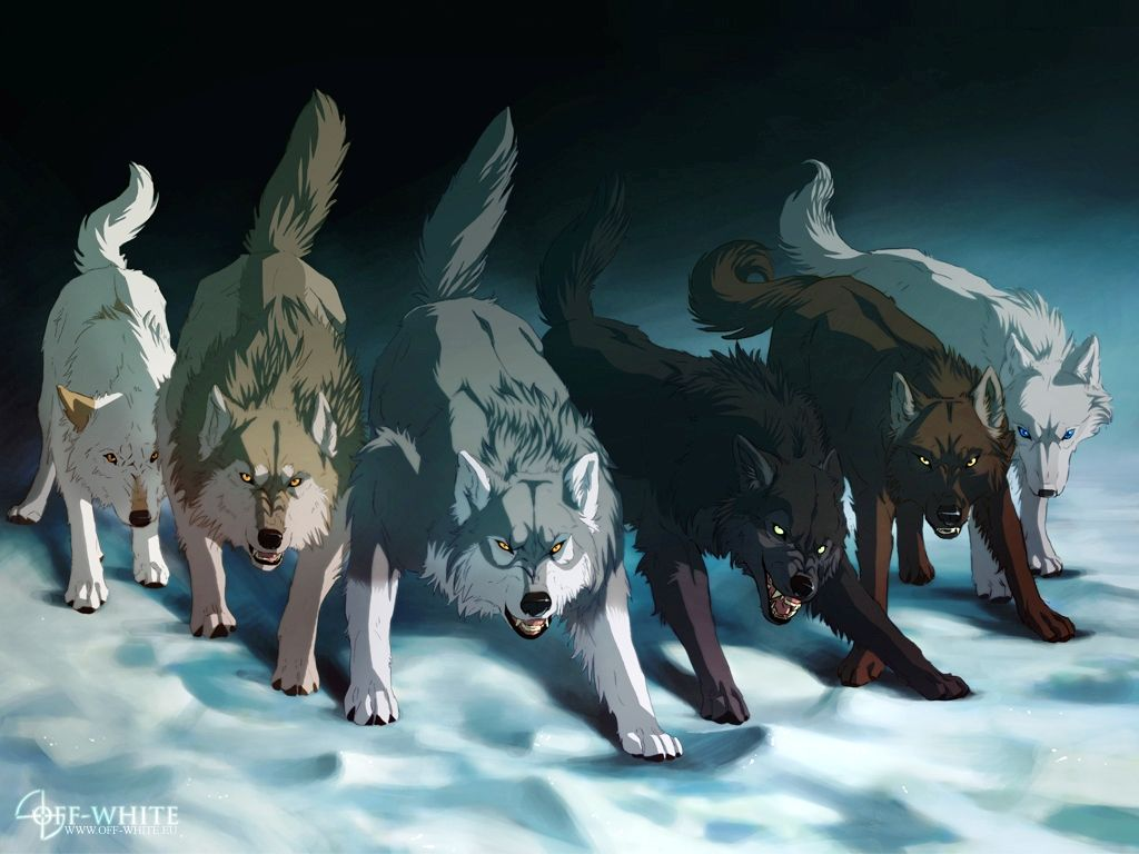 The Hokkido Wolfpack  «RawR»